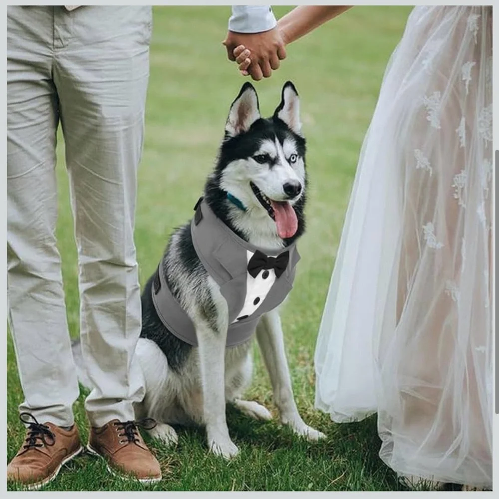 Gray Tuxedo Dog Harness. Adjustable and‎ No Pull.Wedding Suit or Costume